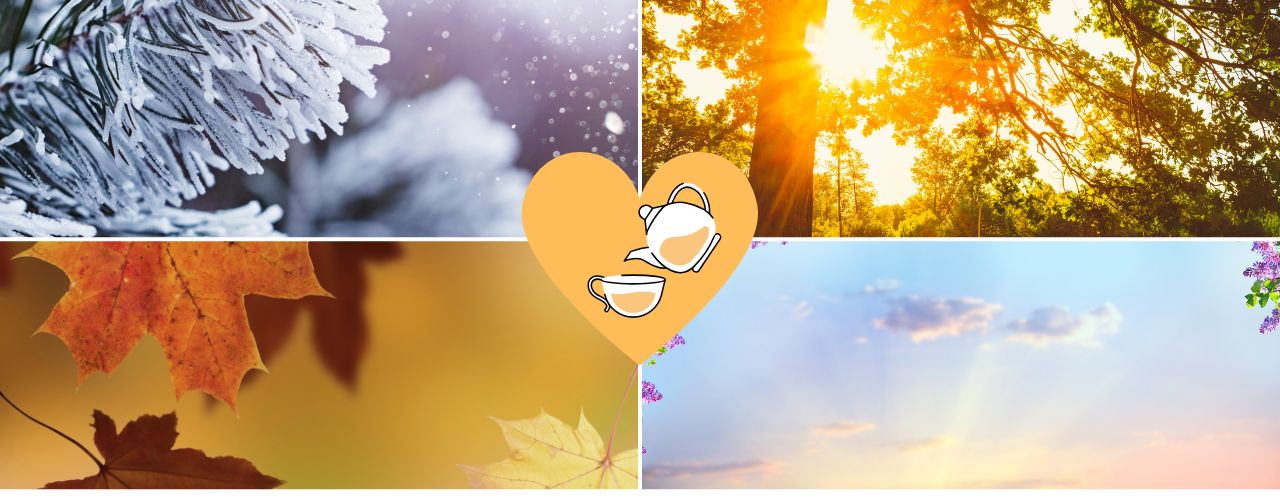 Tee: Deine Reise durch das Jahr